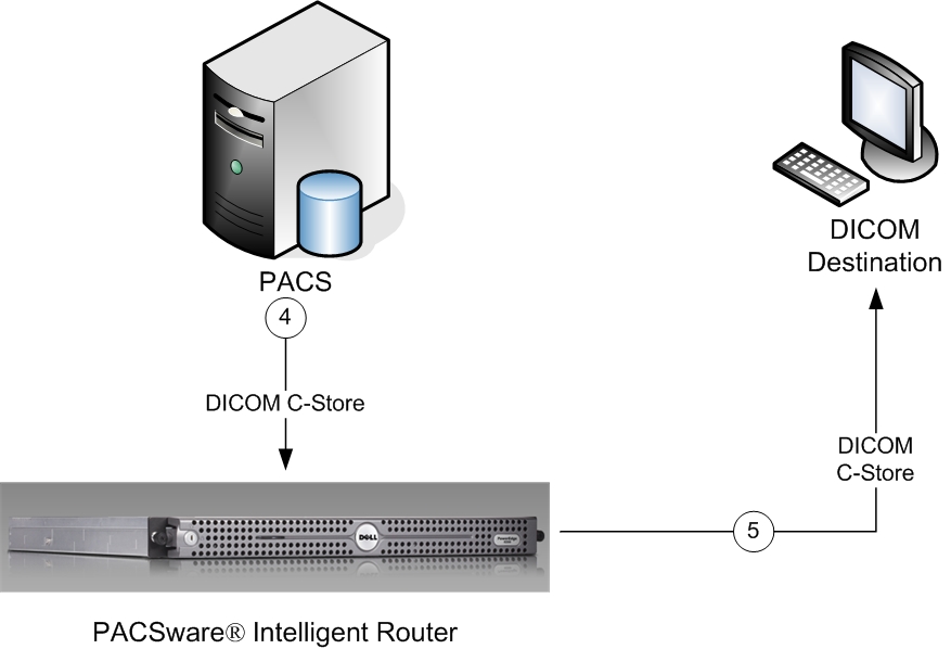 Store and Forward Routing